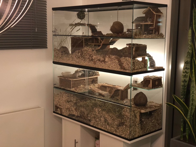 Terrarium voor Gerbils en hamsters